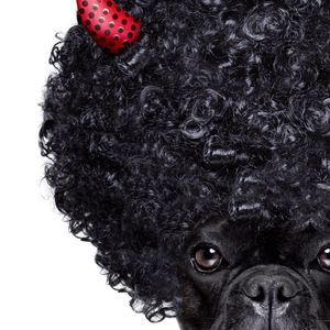 Meet your Posher, Thi